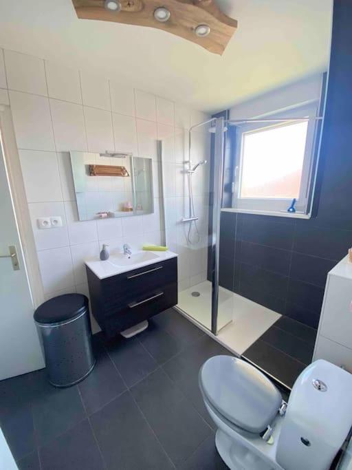 Logement Ideal Pour Un Sejour Alsacien En Amoureux Colmar Exterior photo